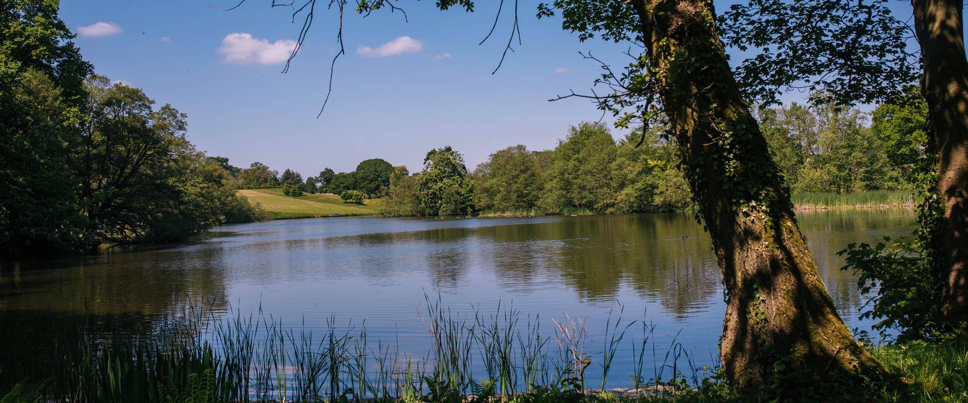 Welcome to Yew Tree Farm Bed & Breakfast Yew Tree Farm Bed & Breakfast Lake